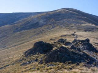 IMG_0699.jpg