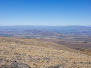 IMG_0701.jpg