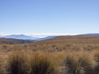 IMG_0791.jpg
