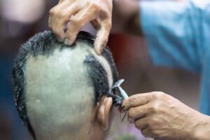 Boss Ordination Day 1 Hair Cutting 549